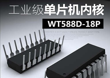 關于語音IC的封裝您了解多少？